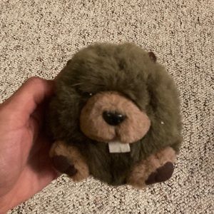 5 for $25 💸💸💸💸💸 
Beaver toy.